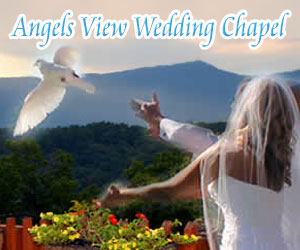bluemontvineyards bluemontvineyard Weddings