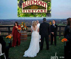 bluemontvineyard Weddings