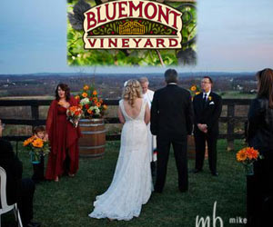 bluemontvineyards bluemontvineyard Weddings