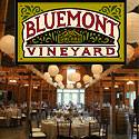 Virginia Country Weddings at the Bluemont Vineyard, VA Wedding Locations