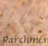 parchment