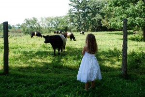 Connecticut Country Weddings